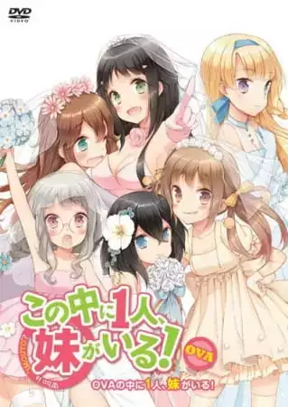 Kono Naka ni Hitori, Imouto ga Iru! OVA: Ani, Imouto, Koibito