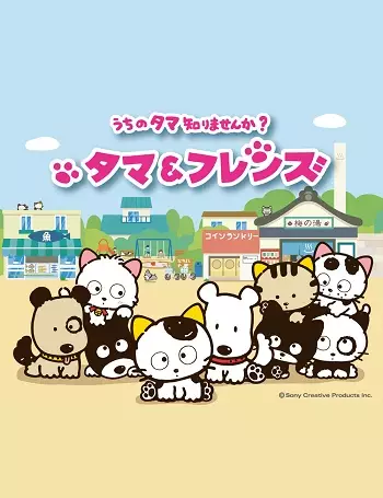 Uchi no Tama Shirimasenka?