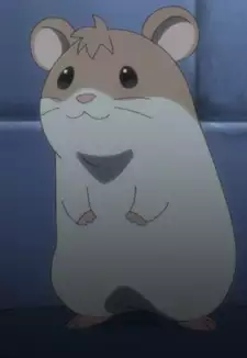 Shadow's Hamster