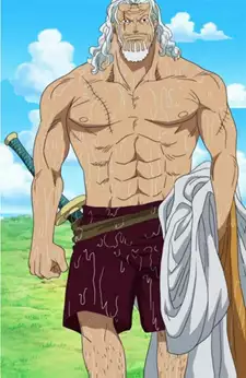 Rayleigh Silvers