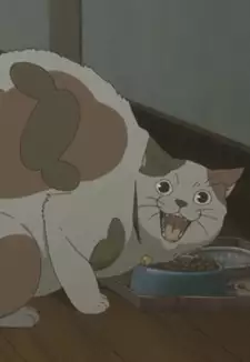 Tama