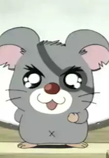 Sabu-san