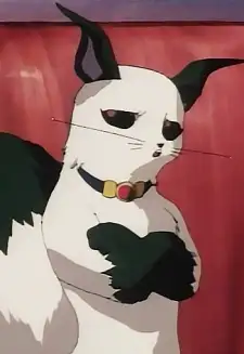 Japolo