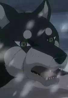 Izou