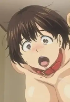 Konomi
