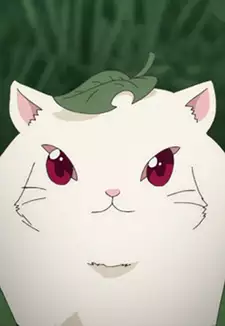 Kodama Nezumi