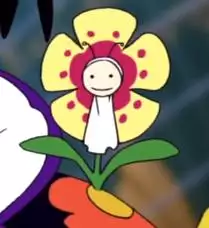 Lily Carnation