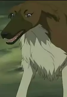 Jet