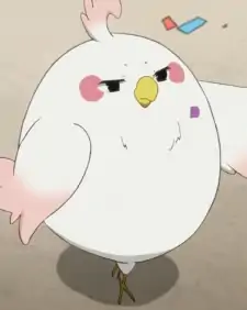 Dera Mochimazzi