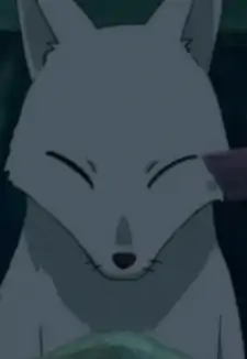 Roro