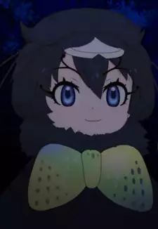 Western Parotia