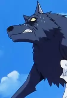Mr. Wolf