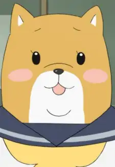 Shiba Inuko-san