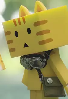Tora