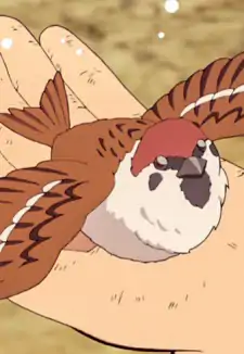 Ukogi