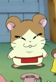 Maido-kun