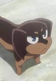 Punipuni