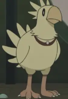 Chobi