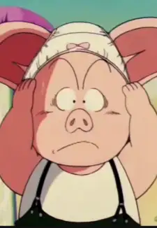Oolong