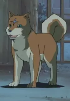 Wolf