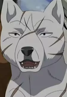 Shirogane Kyoushirou