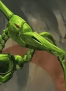 Dino Ptera