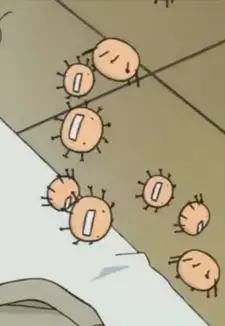 Influenza virus