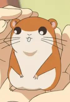 Chikubi