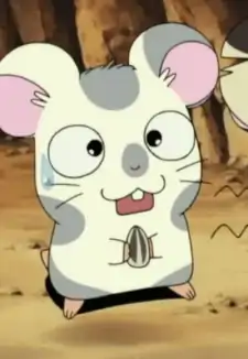 Koushi-kun