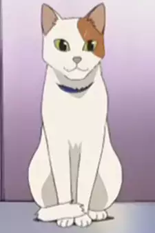 Luca