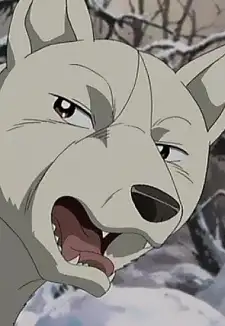 Akame