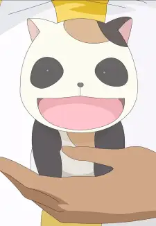 Maa