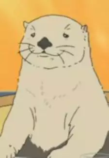 Otter