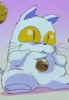 Maomolin
