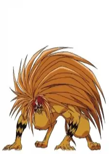 Tora