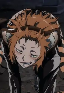 Tora