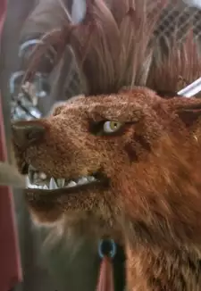 Red XIII