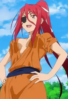 Arashi Nikaidou