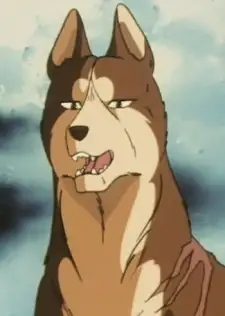 Riki