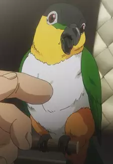 Kashira