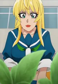 Ranna Himawari