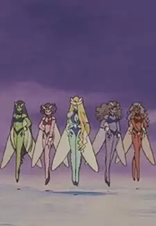 DD Girls