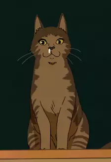 Tora