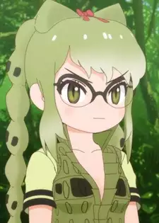 Spectacled Caiman