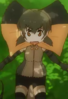 Frilled Lizard