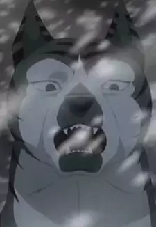 Shouji