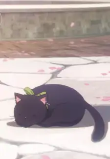 Black Cat