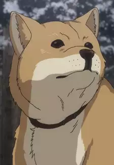 Ryu