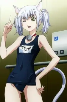 Chaika