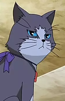 Ogin